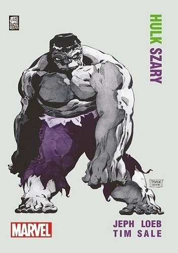 Hulk Szary - Jeph Loeb, Tim Sale | okładka