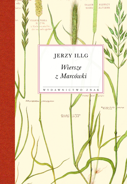 Wiersze z Marcówki - Jerzy Illg  | okładka