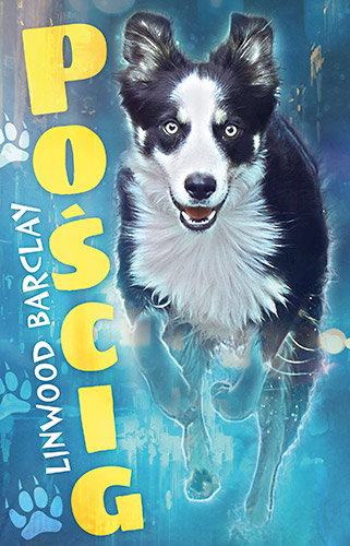 Pościg - Linwood Barclay | okładka
