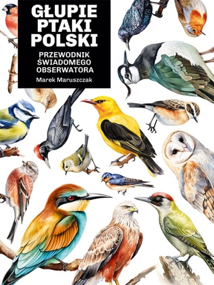 Głupie ptaki Polski. Przewodnik świadomego obserwatora - Marek Maruszczak | okładka