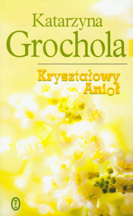 Kryształowy Anioł - Katarzyna  Grochola | okładka
