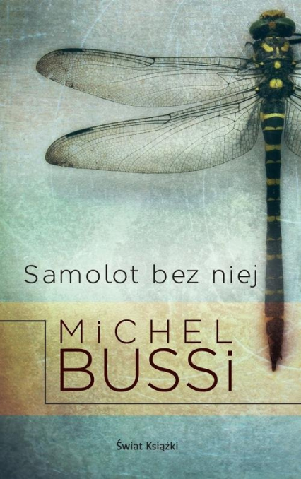 Samolot bez niej - Michel Bussi | okładka