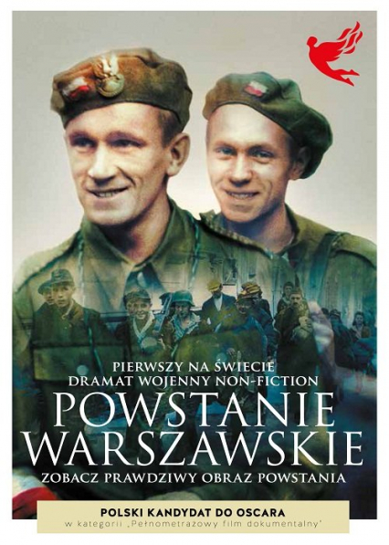 Powstanie Warszawskie. DVD - Opracwanie zbiorowe | okładka