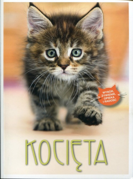 Kocięta - Bettina Stockfleth | okładka