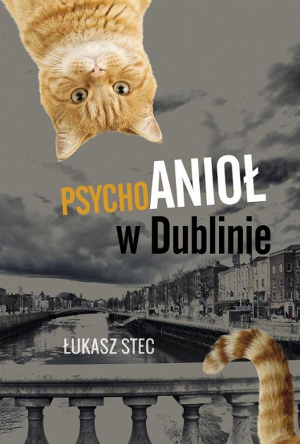Psychoanioł w Dublinie - Łukasz Stec | okładka
