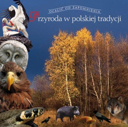 Przyroda w polskiej tradycji - Kłosiewicz Stefan, Kłosiewicz Olga | okładka