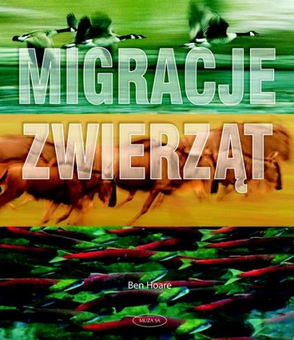 Migracje zwierząt - Ben Hoare | okładka