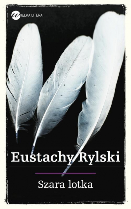 Szara lotka - Eustachy Rylski | okładka