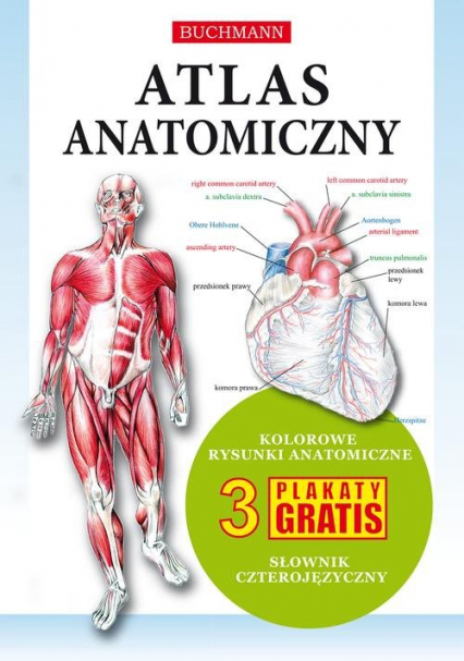 Atlas anatomiczny -  | okładka