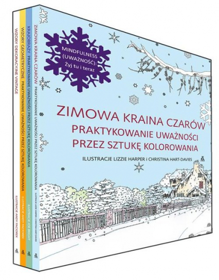 Zimowa kraina czarów / Krajobrazy / Wzory geometryczne /Wzory dekoracyjne vintage Pakiet -  | okładka