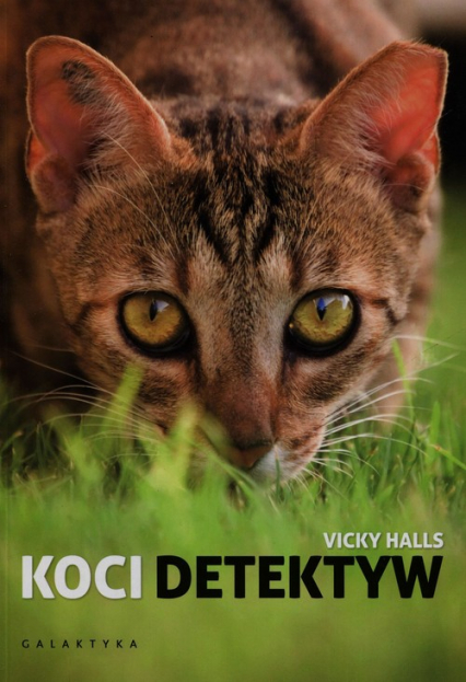 Koci detektyw - Vicky Halls | okładka