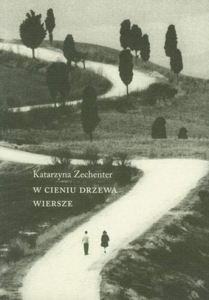 W cieniu drzewa Wiersze - Katarzyna Zechenter | okładka
