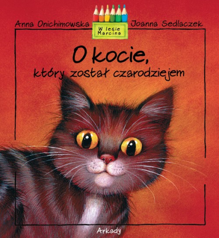O kocie, który został czarodziejem - Anna Onichimowska | okładka