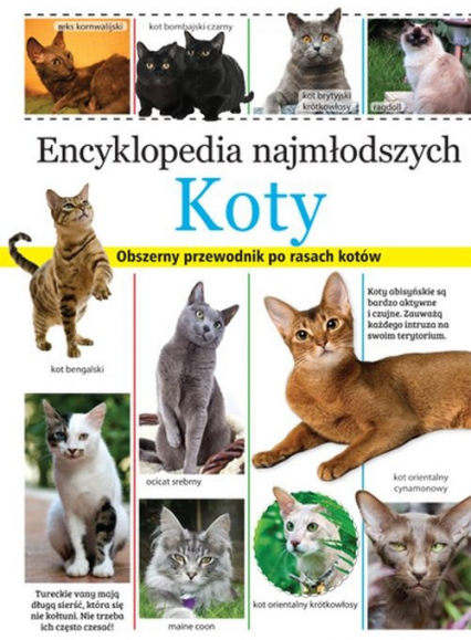 Encyklopedia najmłodszych Koty Obszerny przewodnik po rasach kotów -  | okładka