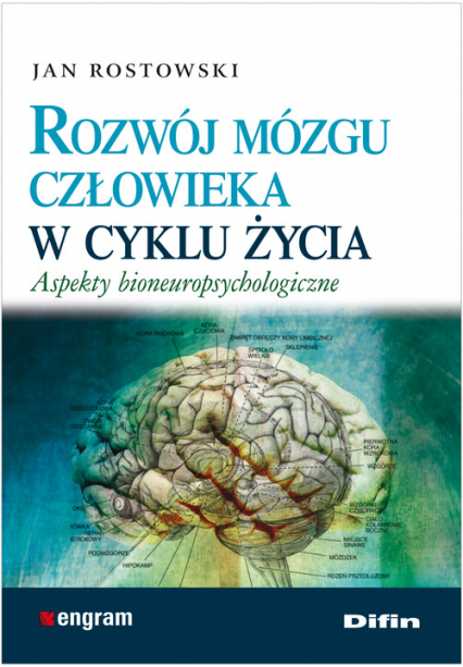 Rozwój mózgu człowieka w cyklu życia Aspekty bioneuropsychologiczne - Jan Rostkowski | okładka