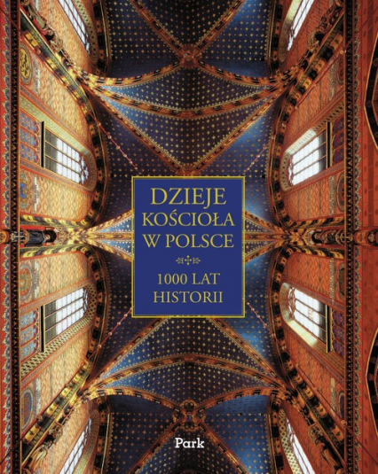 Dzieje Kościoła w Polsce -  | okładka