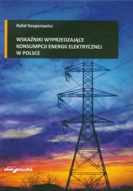 Wskaźniki wyprzedzające konsumpcji energii elektrycznej w Polsce - Rafał Kasperowicz | okładka