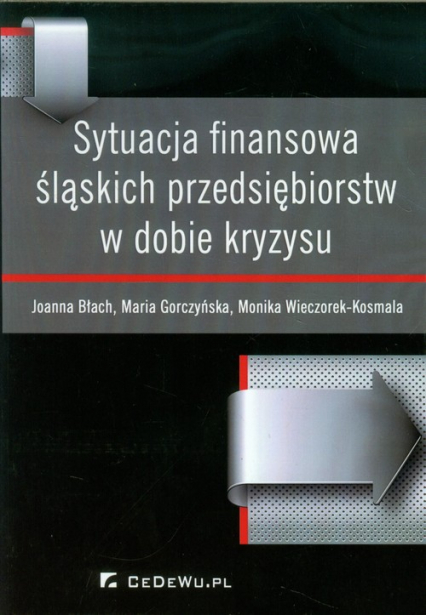Sytuacja finansowa śląskich przedsiębiorstw w dobie kryzysu - Wieczorek-Kosmala Monika | okładka