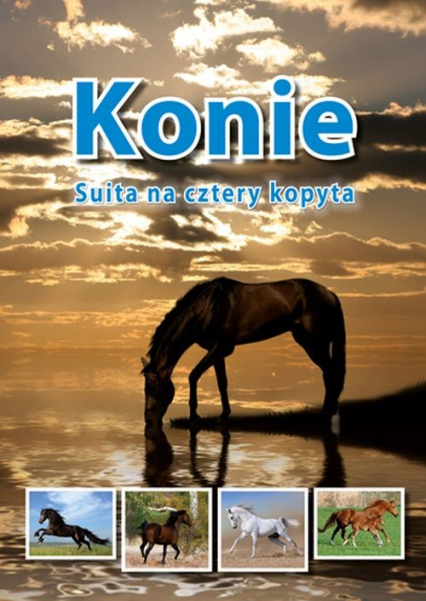 Konie Suita na cztery kopyta - Reisch-Klose Jolanta | okładka