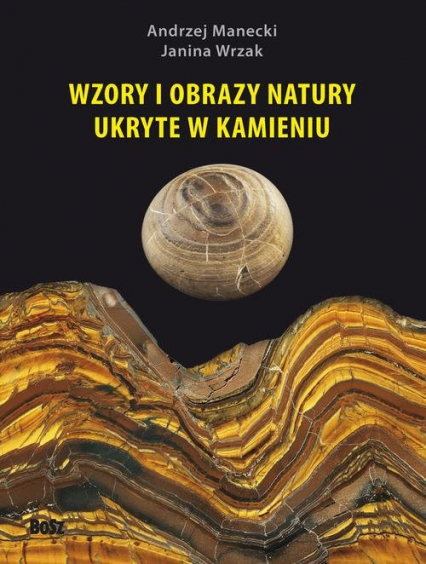 Wzory i obrazy natury ukryte w kamieniu - Andrzej Manecki, Wrzak Janina | okładka