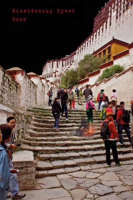 Niewidoczny Tybet - Oser | okładka