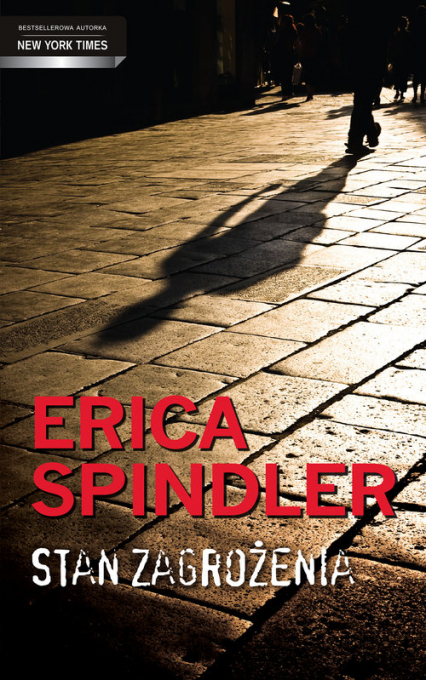 Stan zagrożenia - Erica Spindler | okładka