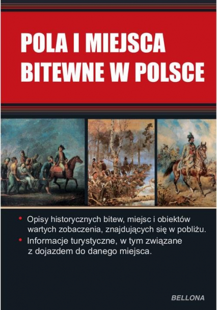 Pola bitewne w Polsce - Mariusz Kalisiewicz | okładka
