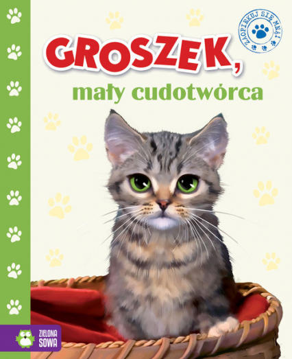 Groszek mały cudotwórca - Kwietniewska-Talarczyk Marzena | okładka
