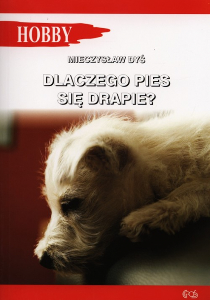 Dlaczego pies się drapie? - Mieczysław Dyś | okładka