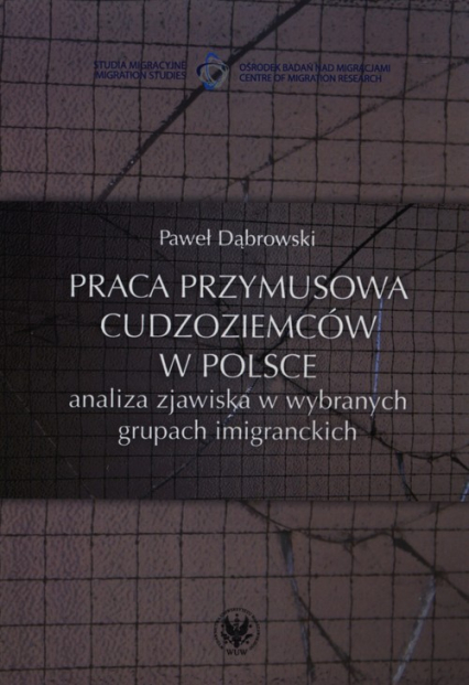 Praca przymusowa cudzoziemców w Polsce analiza zjawiska w wybranych grupach imigranckich - Paweł Dąbrowski | okładka