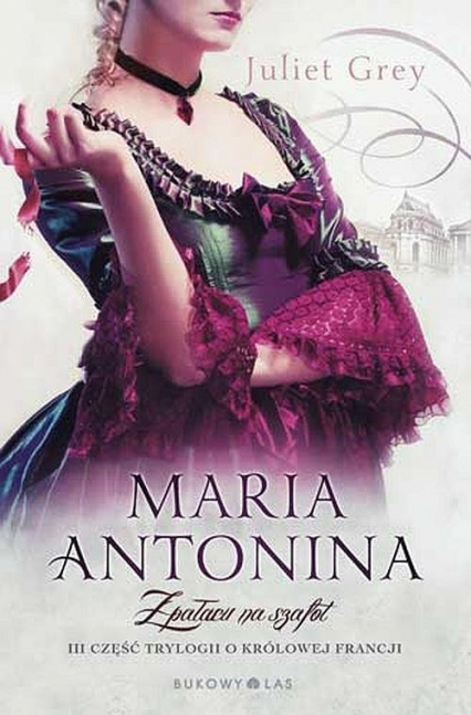 Maria Antonina Z pałacu na szafot - Juliet Grey | okładka