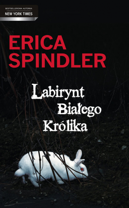 Labirynt Białego Królika - Erica Spindler | okładka