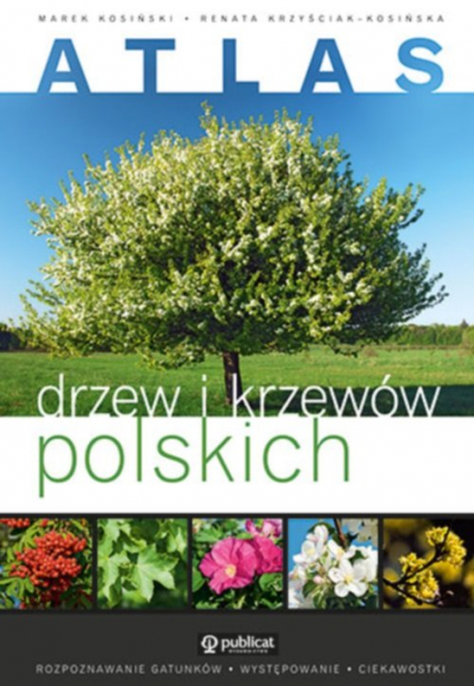 Atlas drzew i krzewów polskich - Kosiński Marek, Krzyściak-Kosińska Renata | okładka