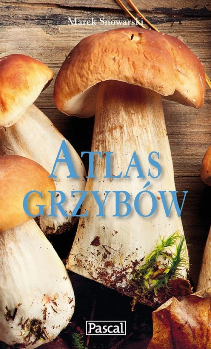 Atlas grzybów - Marek Snowarski | okładka