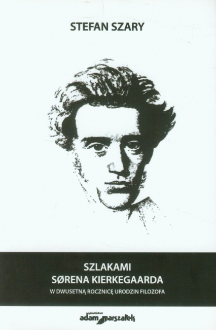 Szlakami Sorena Kierkegaarda w dwusetną rocznicę urodzin filozofa - Stefan Szary | okładka