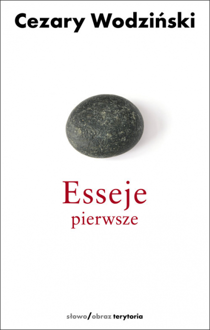 Esseje pierwsze - Cezary Wodziński | okładka