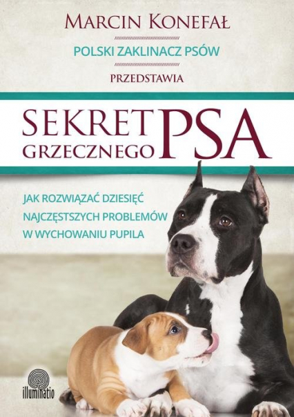 Sekret grzecznego psa Jak rozwiązać dziesięć najczęstszych problemów w wychowaniu pupila - Marcin Konefał | okładka