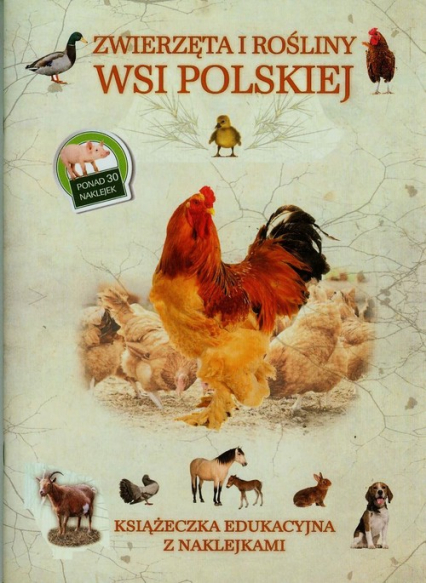 Zwierzęta i rośliny wsi polskiej Książeczka edukacyjna z naklejkami - Tadeusz Woźniak | okładka