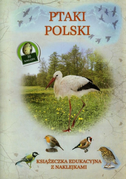 Ptaki Polski Książeczka edukacyjna z naklejkami - Tadeusz Woźniak | okładka