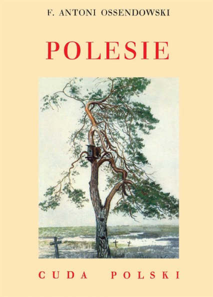 Polesie - Antoni Ferdynand Ossendowski | okładka