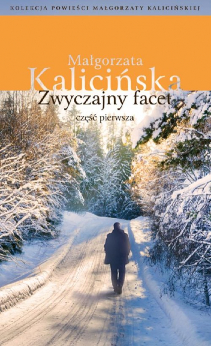 Zwyczajny facet Część 1 - Małgorzata Kalicińska | okładka