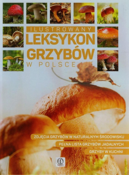Ilustrowany leksykon grzybów w Polsce - Kamiński Wiesław | okładka