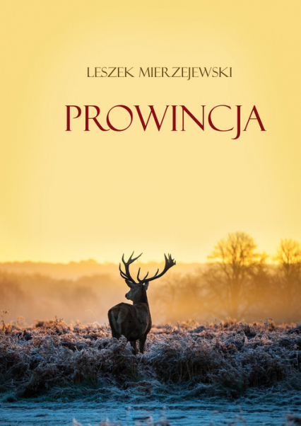 Prowincja - Leszek Mierzejewski | okładka