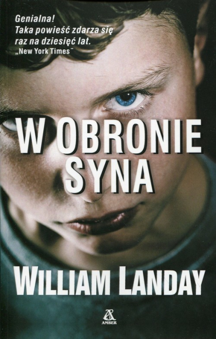 W obronie syna - William Landay | okładka