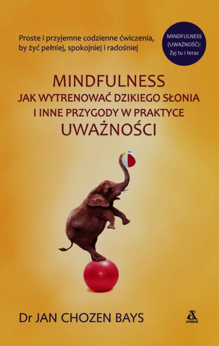 Mindfulness Jak wytrenować dzikiego słonia i inne przygody w praktyce uważności - Bays Chozen Jan | okładka