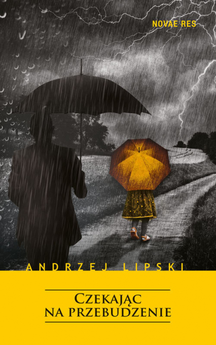 Czekając na przebudzenie - Andrzej Lipski | okładka