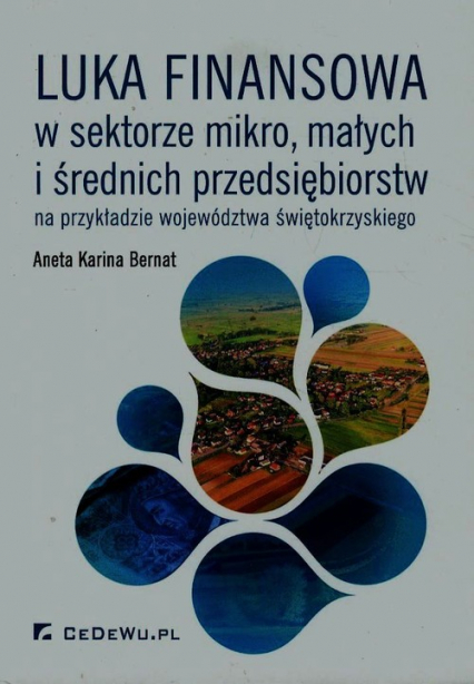 Luka finansowa w sektorze mikro, małych i średnich przedsiębiorstw na przykładzie województwa świętokrzyskiego - Bernat Aneta Karina | okładka