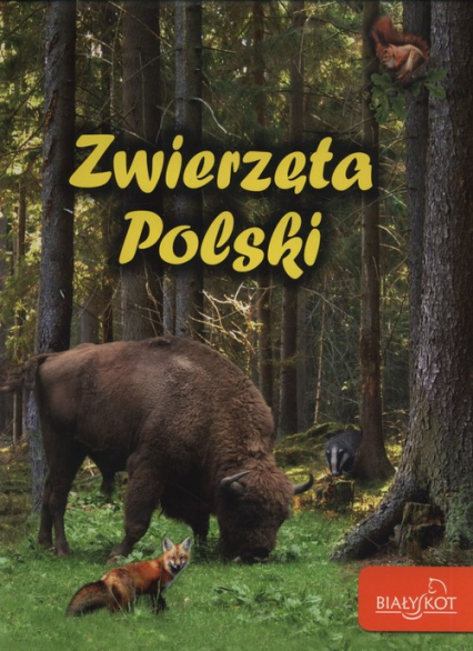 Zwierzęta Polski - Elżbieta Zarych | okładka