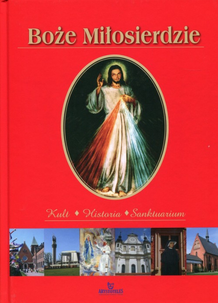 Boże Miłosierdzie Kult Historia Sanktuarium - Joanna Wilder | okładka