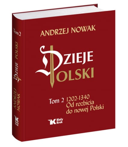 Dzieje Polski Od rozbicia do nowej Polski Tom 2 - Andrzej Nowak | okładka